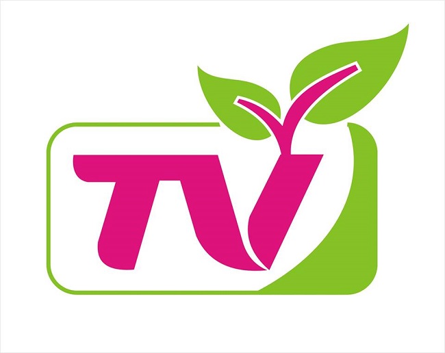 Tại Sao Phụ Huynh Nên Lựa Chọn Trường Mầm Non Tường Vy Cho Trẻ